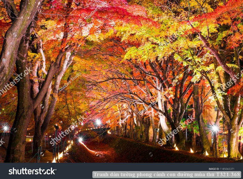 Tranh dán tường phong cảnh hồ thác, cây cối T321-529